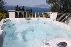 Гостиница La Torre Relais Sorrento  Сорренто